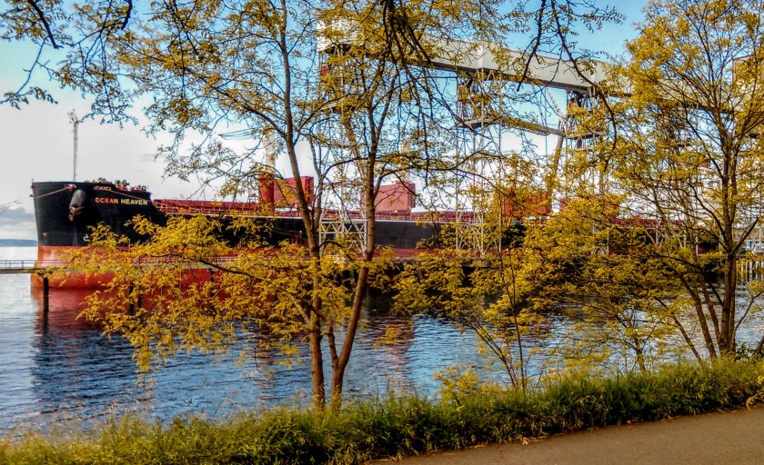 Elliott Bay Trail, Seattle, Ship2 - 17.jpg