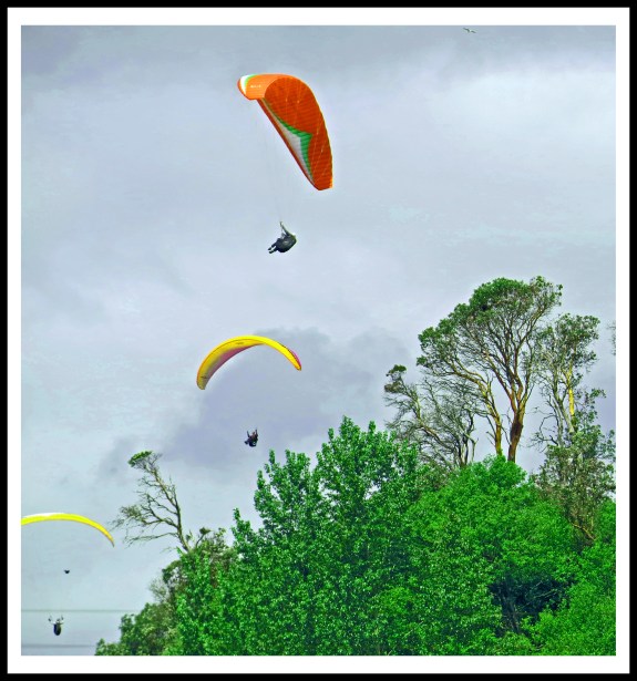 ElliottBayMay2017-Parasailors-IMG_8067_edited-2