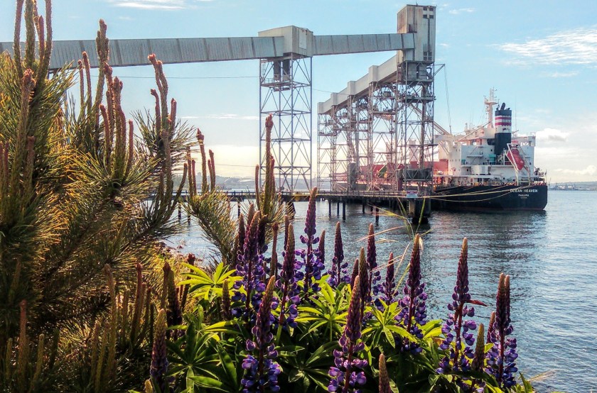 Last Import - 1 of 196 (9).jpg