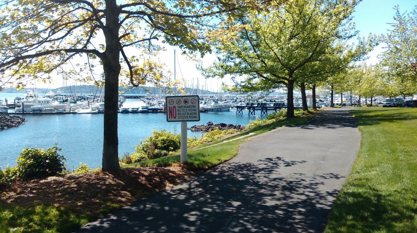 Last Import - 8 of 196 (52).jpg