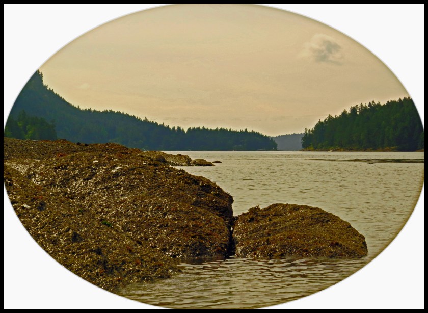 MontagueMay2017-4_edited-1