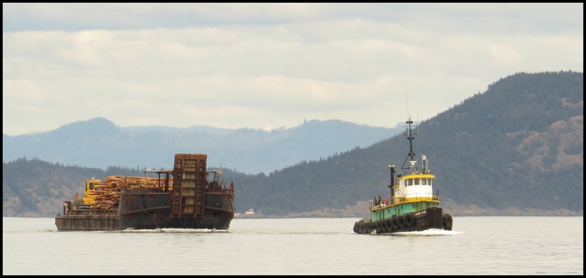 SummerCruise2017LopezMay_IMG_7820_edited-1