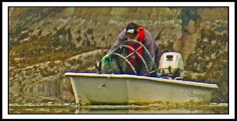 BookerJul2017Al-IMG_9639_edited-1