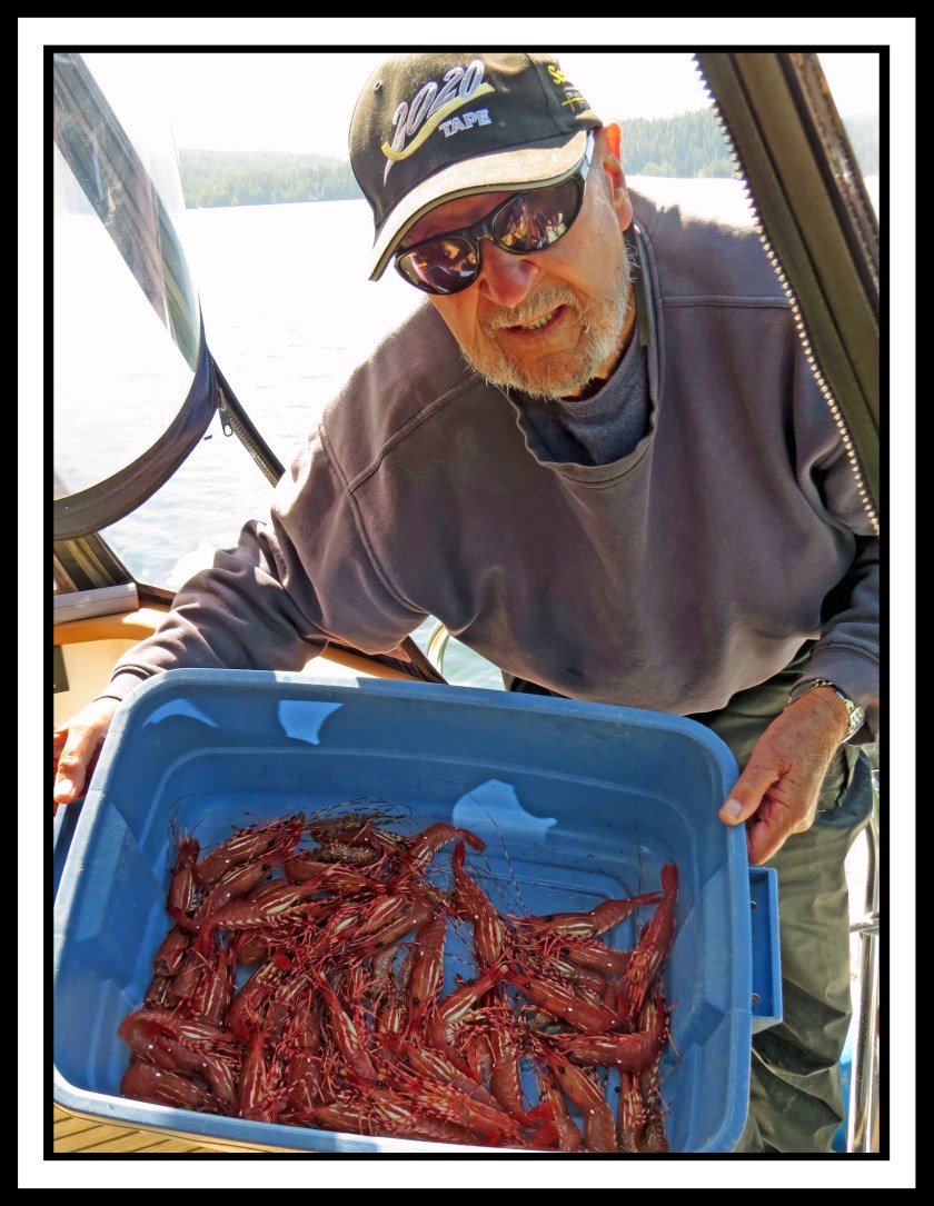 BookerJul2017Prawns-IMG_9291_edited-1
