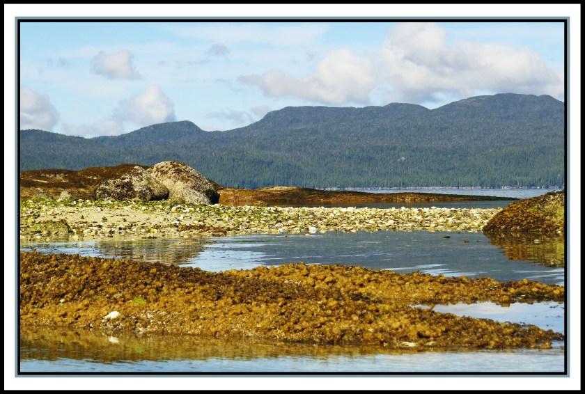 KwakumeJul2015-IMG_1028_edited-1