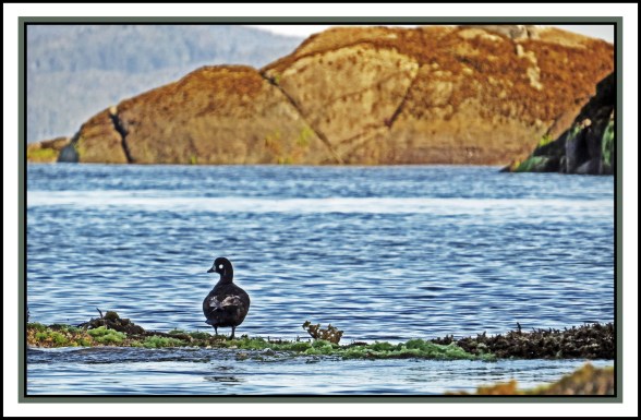 KwakumeJul2017-IMG_0509_edited-1