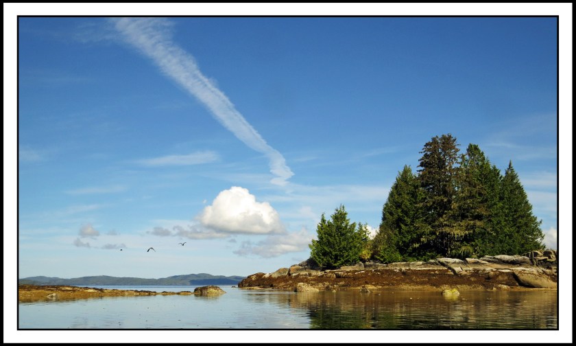 KwakumeJul2017-IMG_1172_edited-1