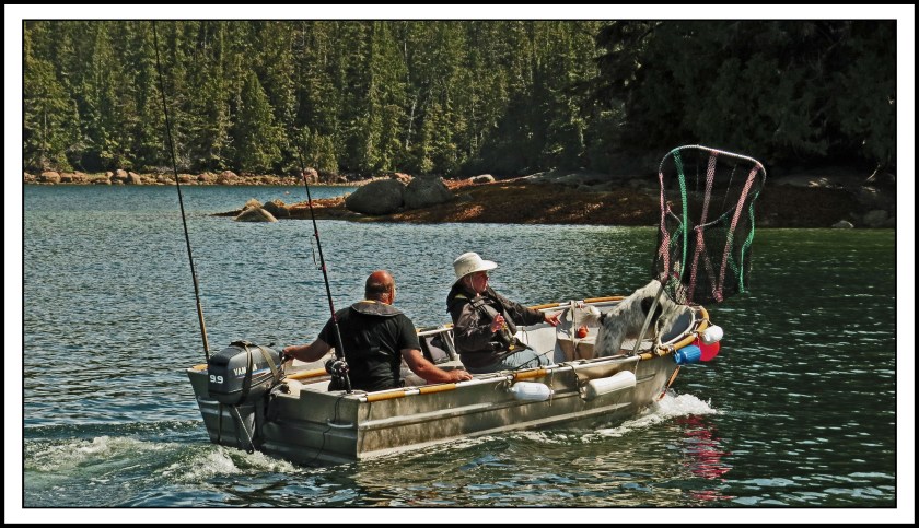 KwakumeJul2017DogAirloom-IMG_1203_edited-1