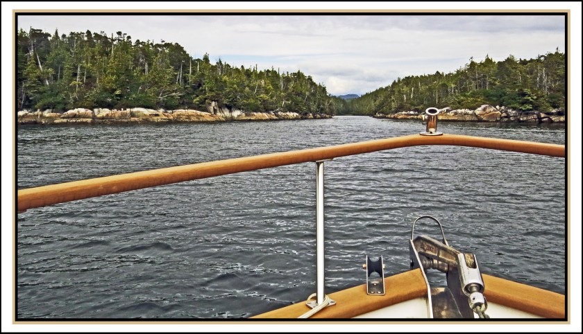 MilesJul2017-IMG_9771 (1)_edited-1