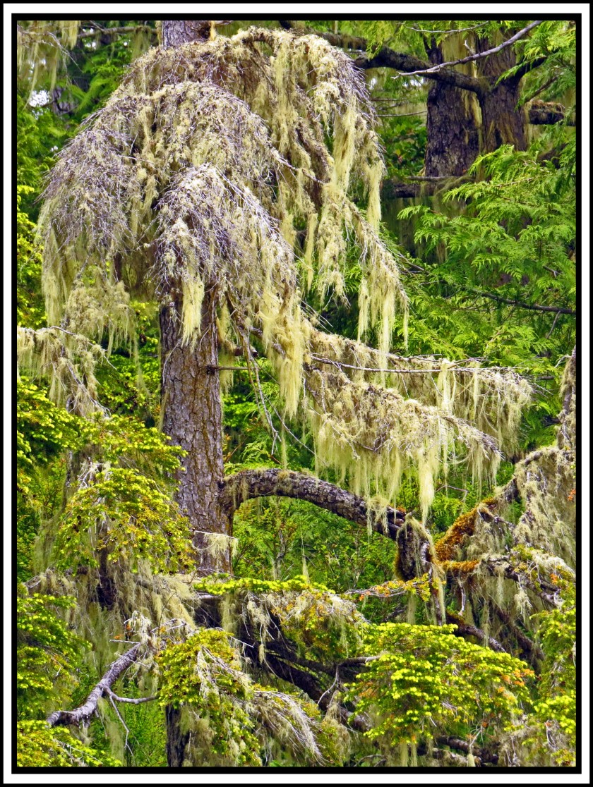 WaddingtonJul2017-IMG_9041_edited-1