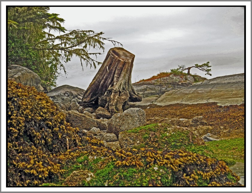 WaddingtonJul2017-IMG_9060_edited-1