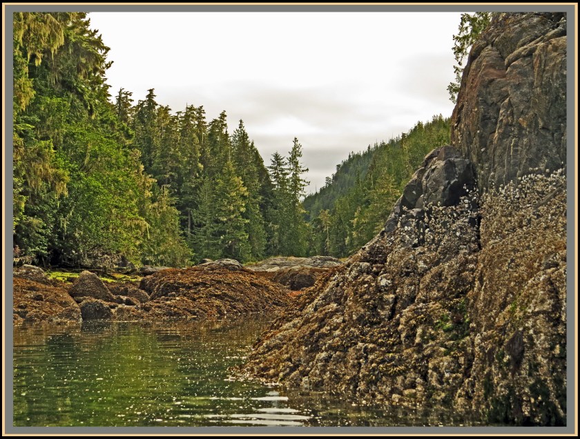 WaddingtonJul2017-IMG_9081_edited-1