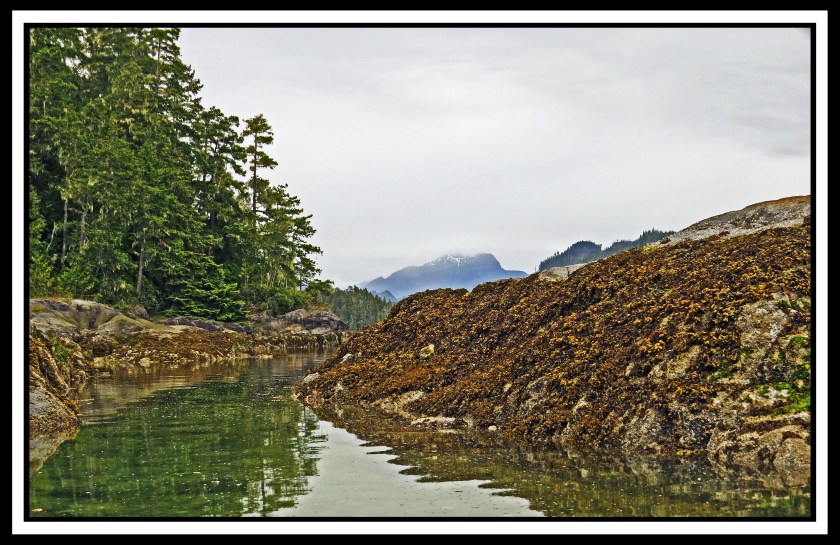 WaddingtonJul217-IMG_9050_edited-1