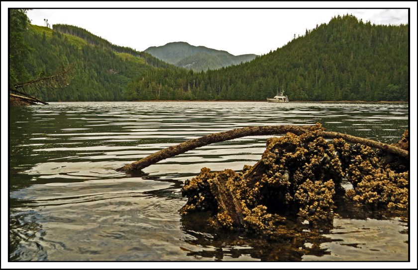 WahkanaJun2017-IMG_8903_edited-1