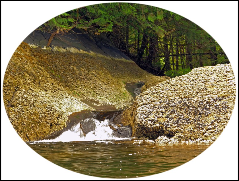 WahkanaJun2017Creek-2