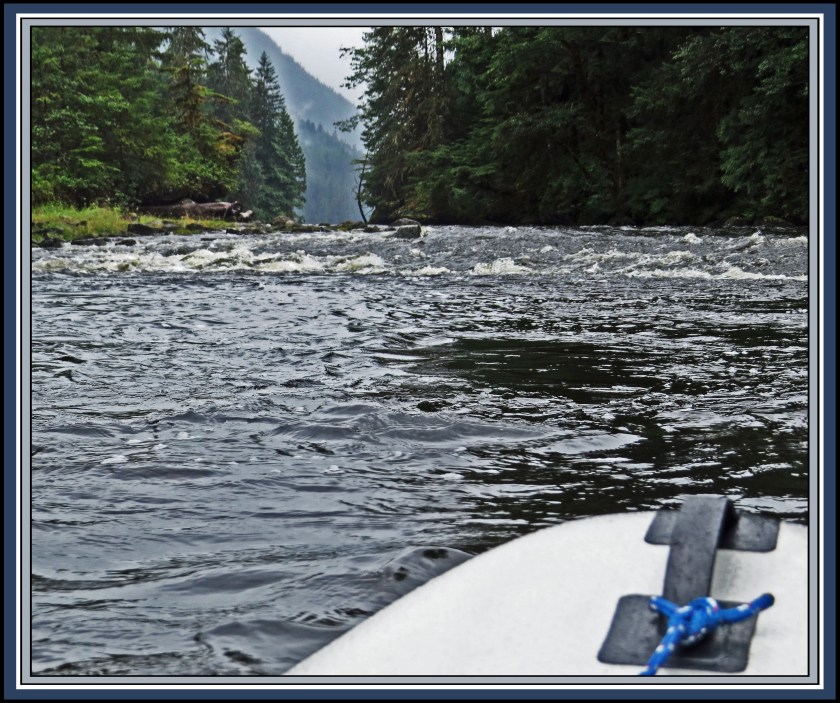 AlstonAug2017-IMG_8758_edited-1