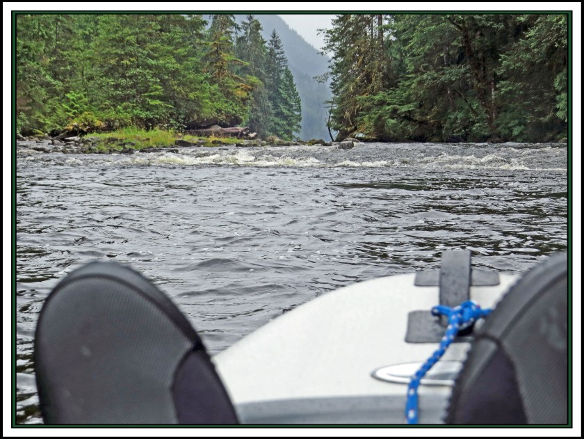 AlstonAug2017Creek-IMG_8777 (1) copy 2