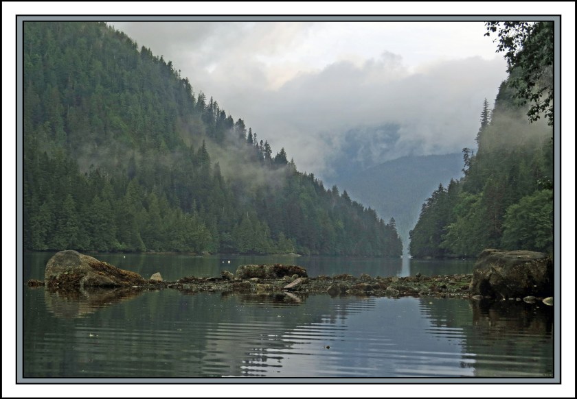 BottleneckAug2017Entrance-IMG_0673_edited-1