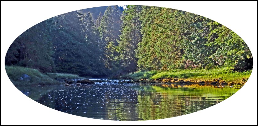 BottleneckJul2017-40