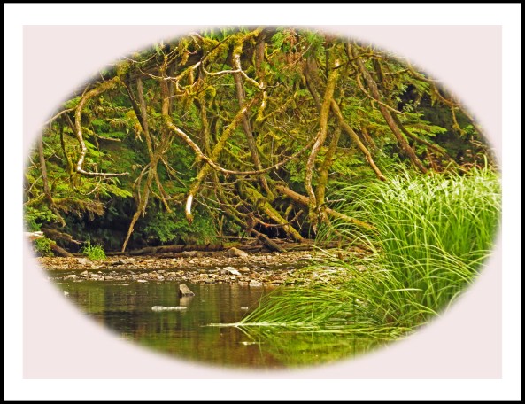 KakushdishJul2017creek-3