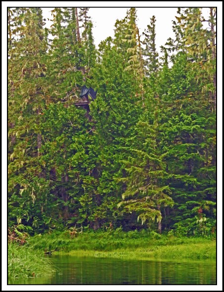 KakushdishJul2017Creek-IMG_3286_edited-1