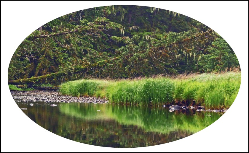 KakushdishJul2017Creek