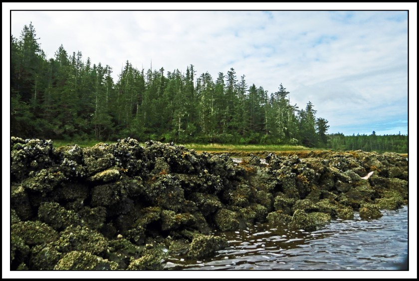 KakushdishSept2017FishWeir-IMG_3164_edited-2