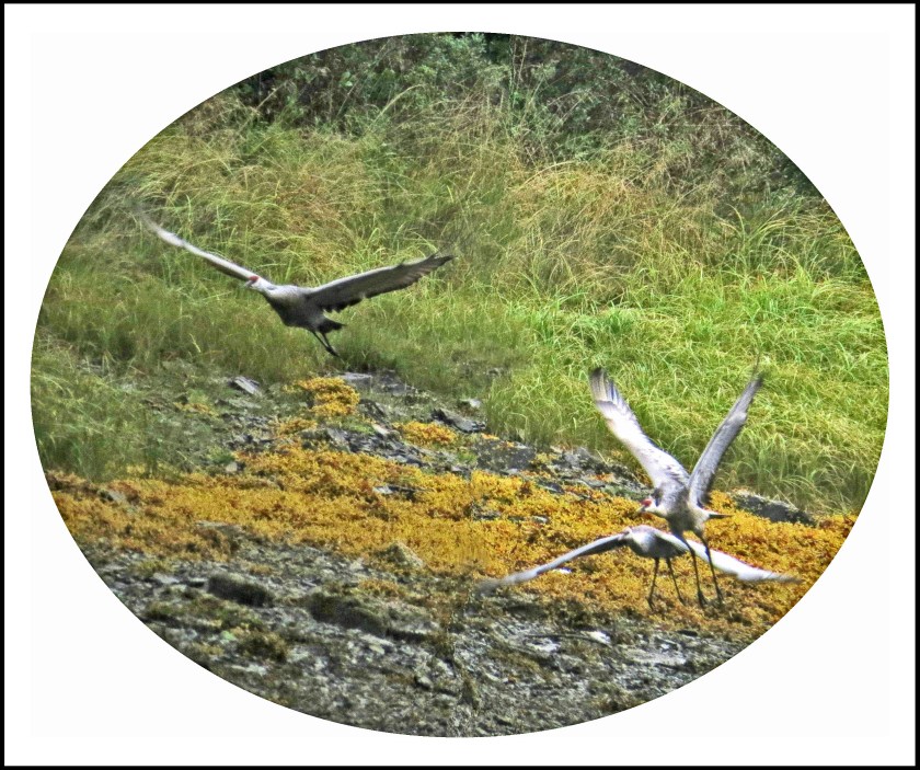 KakushdishSept2017Sandhills-2