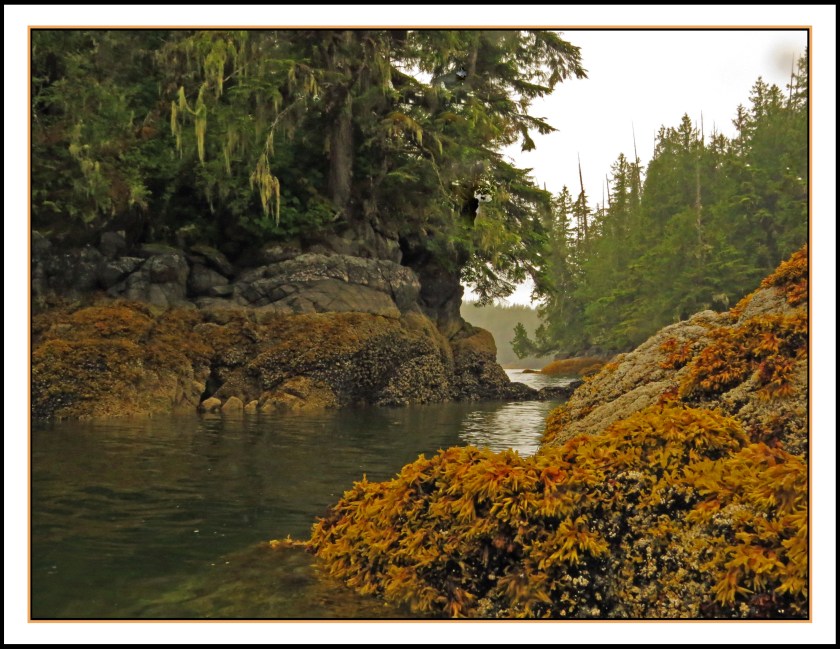 KisameetJul2017IMG_1602_edited-1