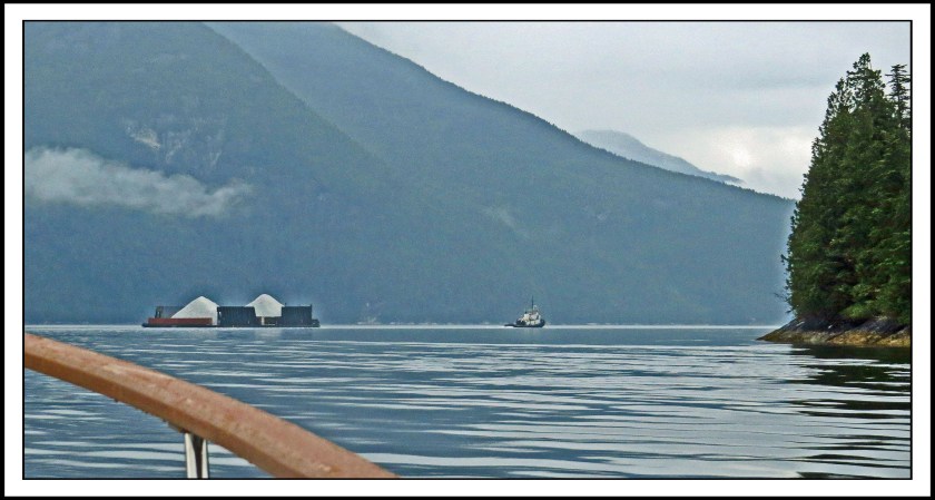 McKayReachAug2017-IMG_7777_edited-1