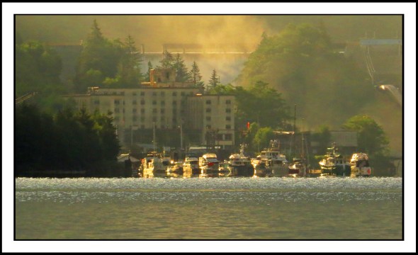 OceanFallsJul2017-IMG_2633_edited-1