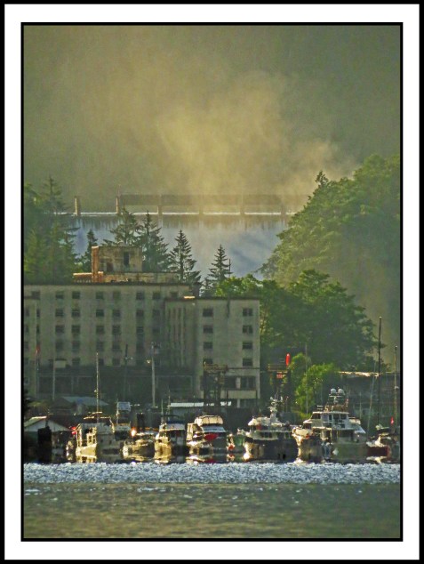 OceanFallsJul2017-IMG_2661_edited-1