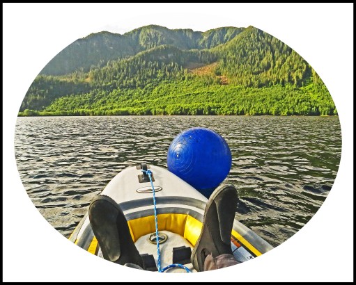 OceanFallsJul2017Ball2