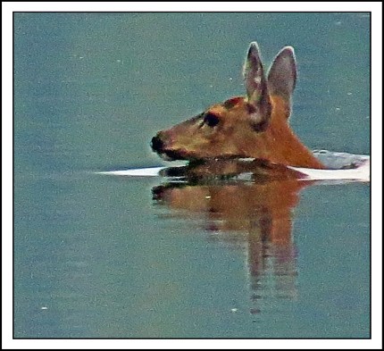 QuigleyAug2017-IMG_7834_edited-1