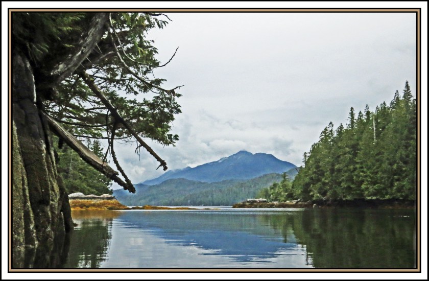 QuigleyAug2017-IMG_7936_edited-1