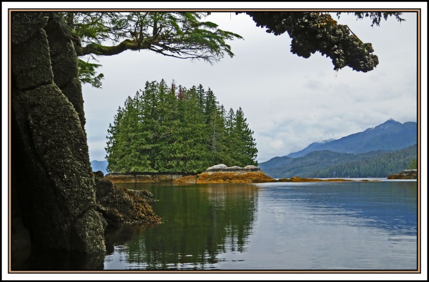 QuigleyAug2017-IMG_7951_edited-1