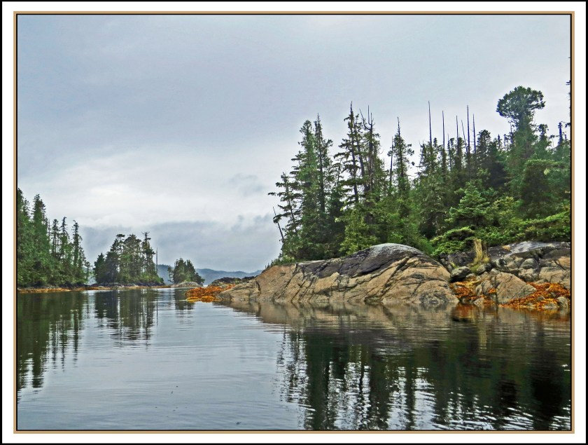 QuigleyAug2017-IMG_8353_edited-1