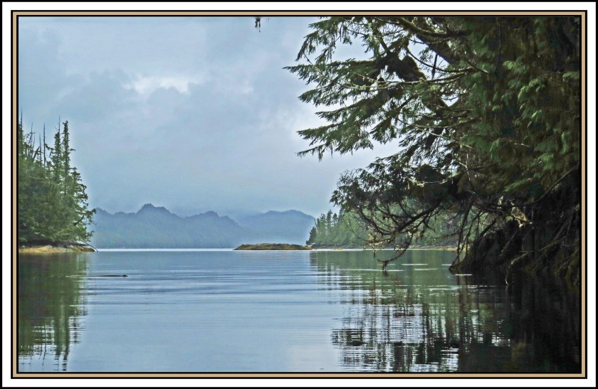 QuigleyAug2017-IMG_8357_edited-1