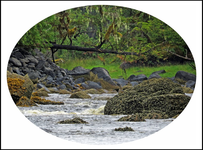 QuigleyAug2017Creek-59