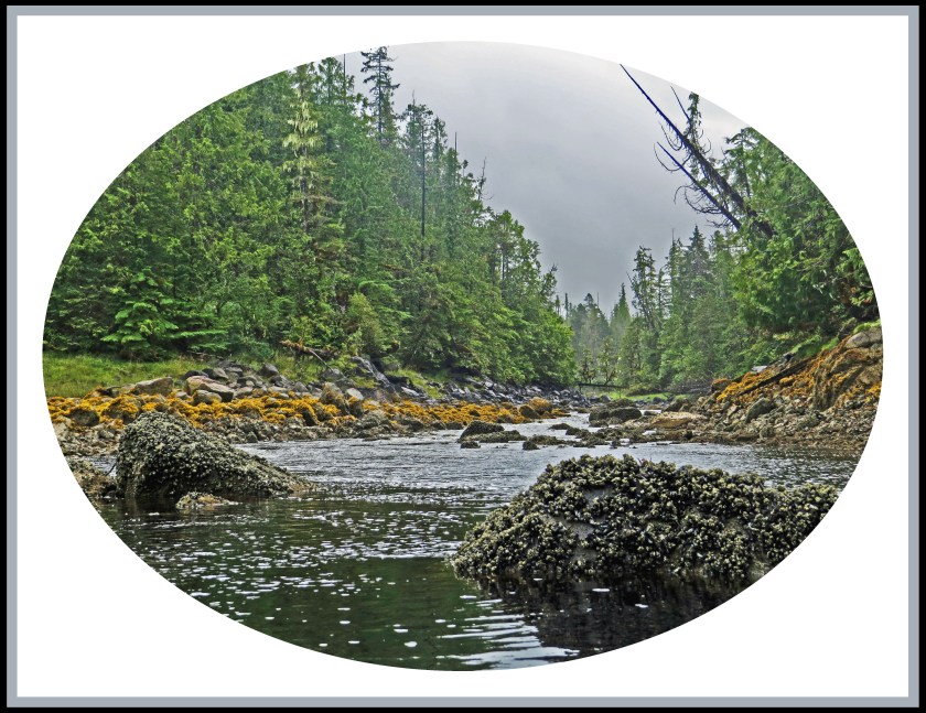 QuigleyAug2017Creek-70