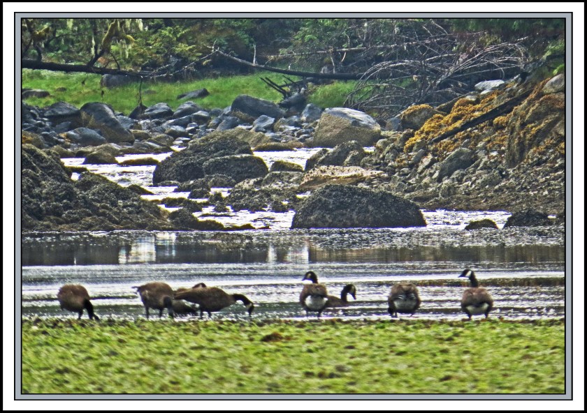 QuigleyAug2017IMG_9087_edited-1