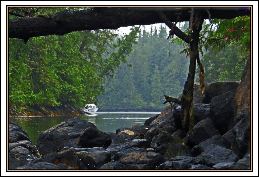 QuigleyAug2017Jubilacion-IMG_8027_edited-1