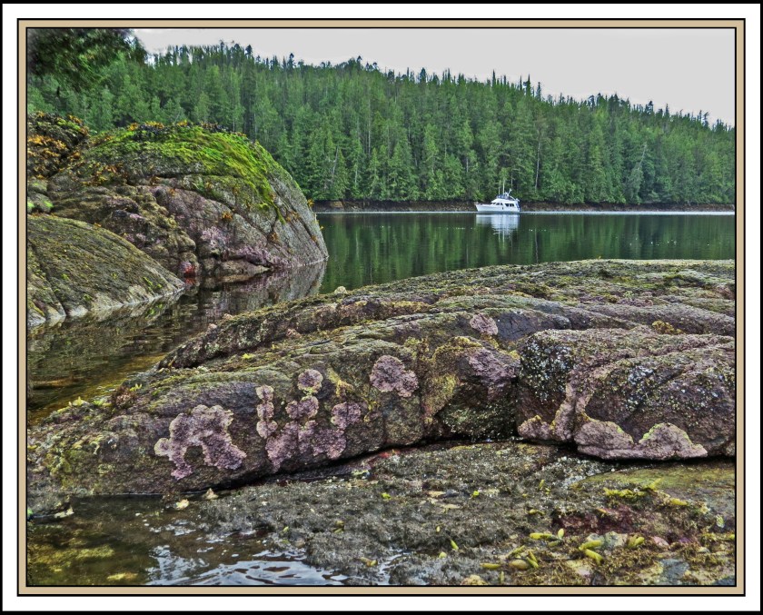 QuigleyAug2017Jubilacion-IMG_9717 (1) copy 2_edited-1