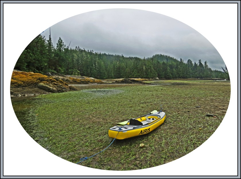 QuigleyAug2017LowTide48