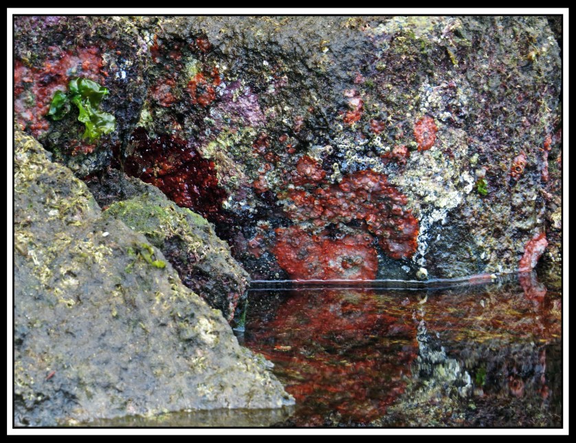 QuigleyAug2017Rock-IMG_9326 (1)_edited-1