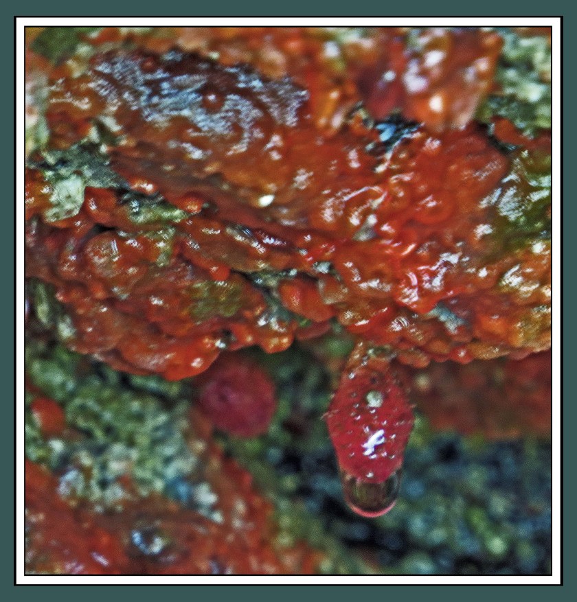 QuigleyAug2017Rocks-IMG_9303 (1)_edited-1