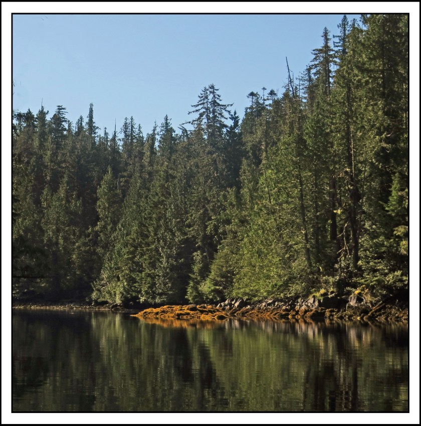 RaitSept2017-IMG_1488 (1)_edited-1