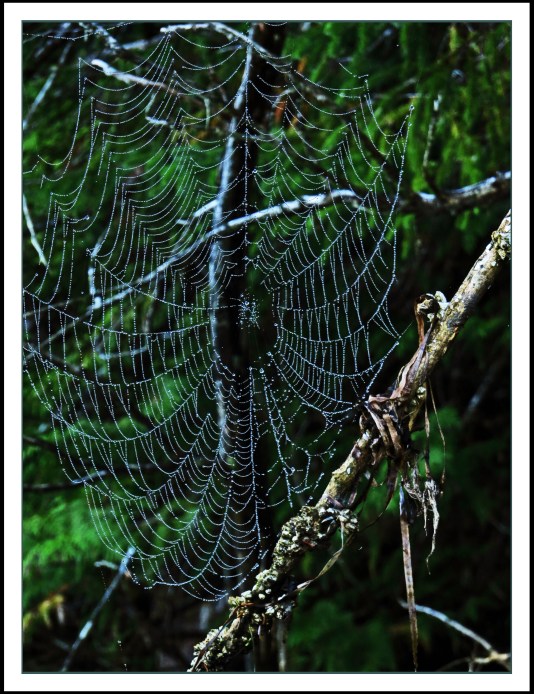 RaitSept2017Web-IMG_1470 (1)_edited-1