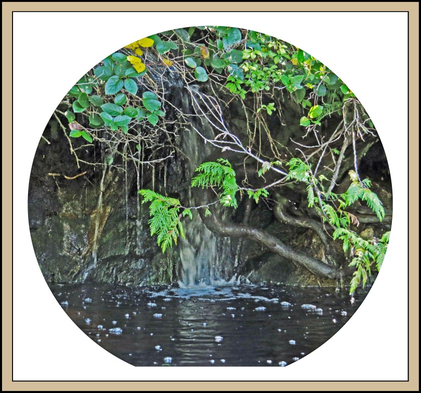 TankeahRiverSept2017-5