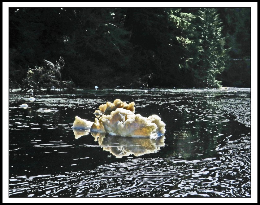 TankeahRiverSept2017-IMG_1704 (1)_edited-1